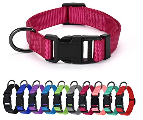 AUDWUD Collare in nylon spesso,collare classico per cani regolabile in più colori,adatto per cani di piccola,media e grande taglia,4 taglie