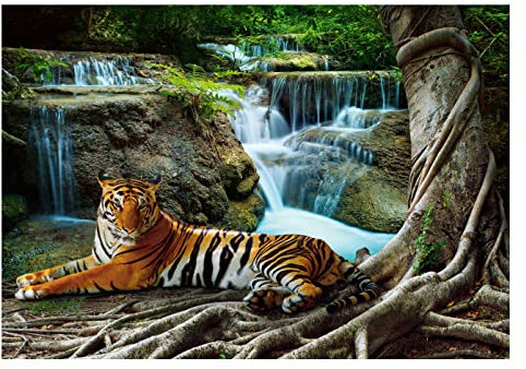 WallArena - Vlies Fototapete 3D Effekt Tiger Dschungel Tiere Wasserfall 208x146 cm - Fototapeten - Tapeten - für Wohnzimmer Schlafzimmer - Vliestapete Wandtapete Tapete 3D Effekt- inkl. Kleister