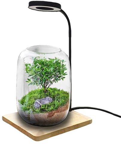 Generico Lampada da scrivania a LED - Lampada a LED rotante, Coltivazione di acquari e terrari, Display da scrivania per studio domestico, a USB, Luce per piante da tavolo, Apparecchio per uffi