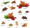 Eurographics Spice Collection 25x35 Wandsticker, Papier, bunt, 35 x 25 x 0.4 cm