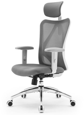SIHOO M18 Ergonomic Office Chair, Adjustable Lumbar Support, 330 lb, Grey | Adjustable Headrest, Breathable High-Back Mesh, Wide Cushion, 2D Armrests, Tilt Lock, All-Day Sitting Comfort for Home Office