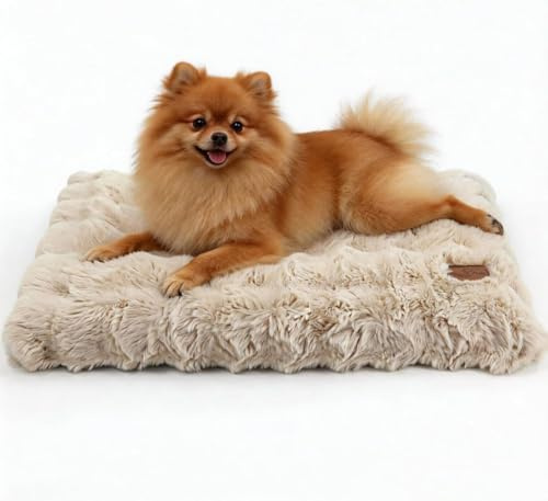 BingoPaw Panier pour Chien Moyen Taille: 76x51x10cm Coussin Chien Déhoussable et Lavable en Machine, Tapis Matelas Lit Anti-Stress, Tissu Peluche Doux, Beige