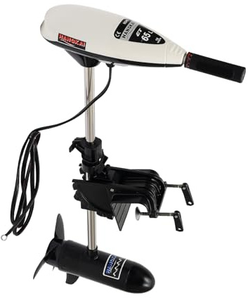 Motore fuoribordo da 660 W, motore elettrico fuoribordo, motore fuoribordo, motore esterno a quattro tempi, barca da pesca, outboard Dc, pompa solare per fontane profonde in acciaio inox, pompa solare