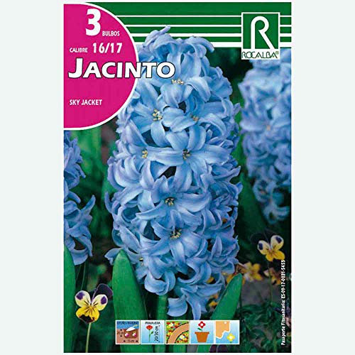 BULBO JACINTO SKY JACKET AZUL - 3 UD