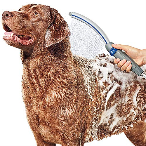 Waterpik Pet Wand Pro hundduschfäste för snabb och enkel hundbad och rengöring, inomhus- och utomhusspruta inkluderar 8-fots flexslang, blå/grå, PPR-252E