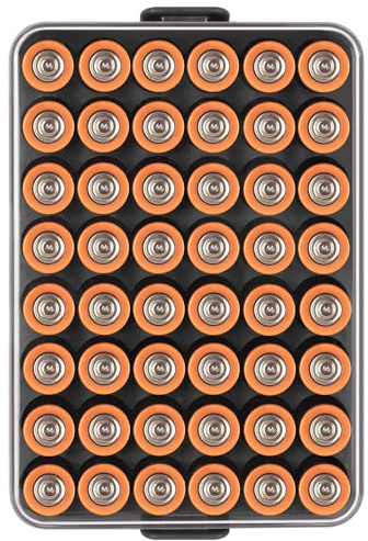 Batteriorganisatör förvaringshölje, litet batteri, kassaskåp, behållare för 48 stycken AA-batterier, plast klar skyddsbatterihållare för resor/hem/kontor (svart, L)