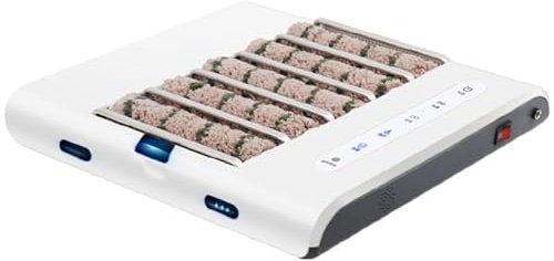 KEhtu Machine De Nettoyage Automatique des Semelles, Cireuse À Chaussures À Induction Automatique Rechargeable 260 TR/Min, Frotter + Aspirer 2 en 1, sans Nettoyage À l'eau, pour Le Bureau À Domicile