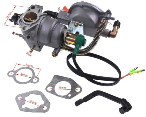 WIIYENA Carburatore GPL/NG a doppio combustibile per generatore XP10000EH 10000W 18HP - Carburatore metallico per gruppi elettrogeni da 8kW a 10kW