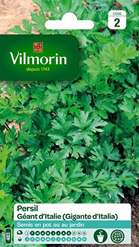 Vilmorin 3790542 Pack de Graines Persil Commun Géant d'Italie