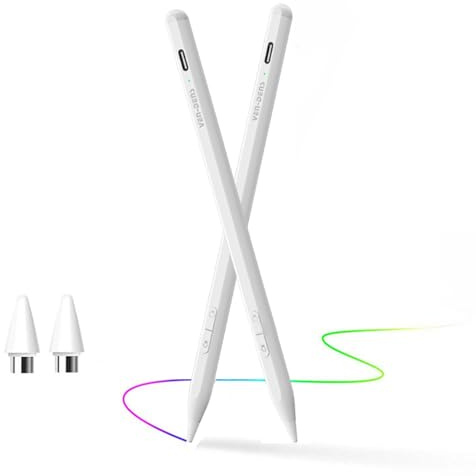 Penna stilo intelligente a doppio sistema per iPad, tablet Android, USB-C magnetica