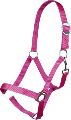 HKM Stars Economy Softice Halfter Pink Warmblut