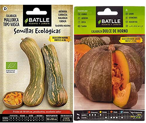 Calabaza Mallorca - ECO & Calabaza Dulce horno BUEN GUSTO