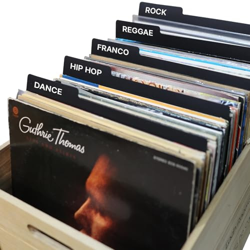 Separatori per dischi in vinile da 30,5 cm neri riutilizzabili su entrambi i lati, schede di categoria in plastica, fai da te, vinile, LP, album, divisori per scatola album e