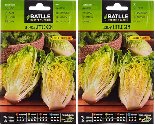 Semillas Batlle – Laitue Romaine Petite Bourgeon (Lot de 2)