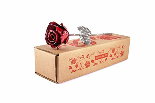 Forging Art Bcn® Rosa Eterna de Hierro Forjada a Mano - Regalo Día de la Madre, San Valentín, Bodas de hierro (6 aniversario) (Roja/Plata sin Base)