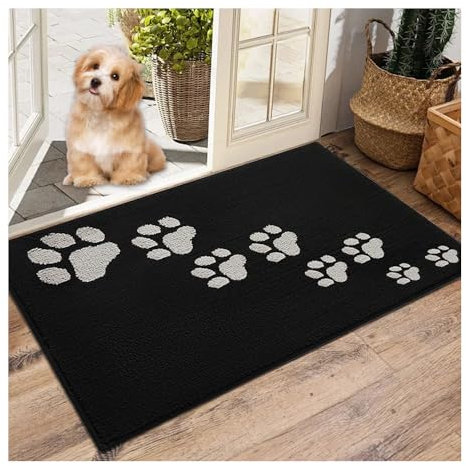 Bieiyhe Schmutzfangmatte 50 x 80 cm, Eingangsteppich Waschbare Fussmatte Innen Fußmatte Eingangsbereich,Sauberlaufmatte Rutschfester Abtreter,Türmatte Fußabstreifer für Haustür Innen,Vorleger Teppich