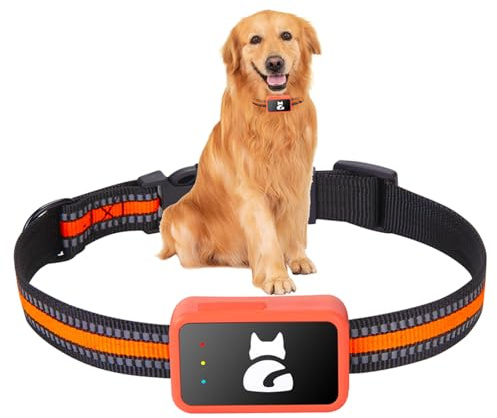 GLYYR GPS per Cani - Localizzatore per Cani e Gatti Impermeabile, Localizzazione in tempo reale, Tracker di Attività e Salute del tuo Cane, con Recinto Virtuale e Notifiche, Collare incluso