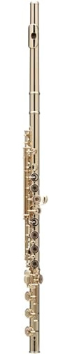 LABLADUO Flöjt, silverpläterad Western Concert flöjt flöjt kit 17 hålflöjter C nyckel vindinstrument mini vadderad mellanflöjt skruvmejsel