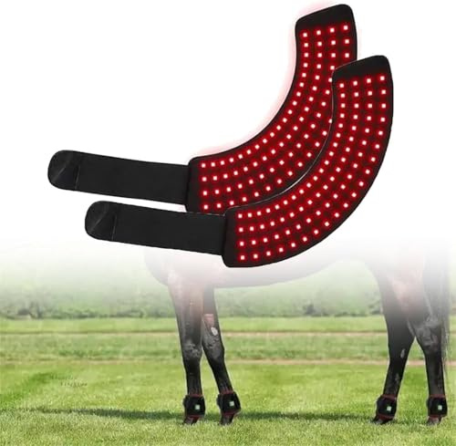 PoiToe Terapia De Luz Roja para Caballos, Dispositivo De Terapia De Luz Roja En Forma De Herradura, Alivia El Dolor, El Dolor Muscular Y Articular Causado por El Ejercicio Extenuante En Caballos.