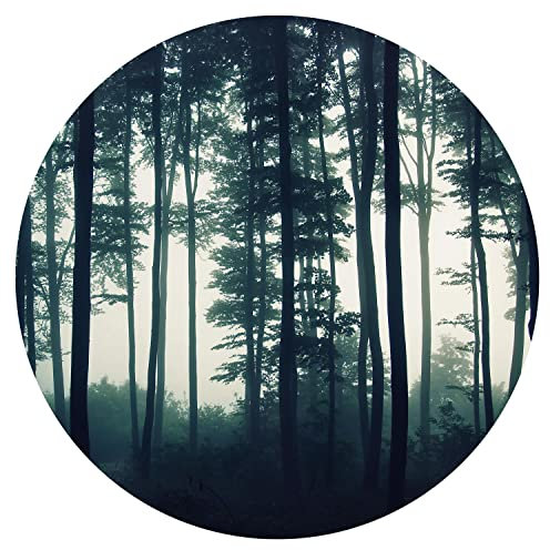 murando runde Fototapete selbstklebend Wald 125x125 cm Tapeten Wandtapete XXL Moderne Wanddeko Design Wand Dekoration Wohnzimmer Schlafzimmer Büro Flur Bäume Natur Landschaft Nebel