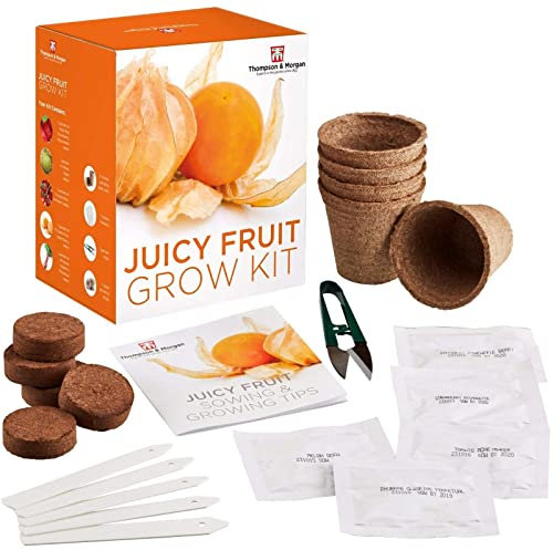 Juicy Fruit Seed Growing Kit Gift Box - 5 Fresh Flavoursome Fruit to Grow; Strawberry, Melon, Rhubarb, Physalis & Tomato Seeds, Fruit Growing Kit by Thompson & Morgan
