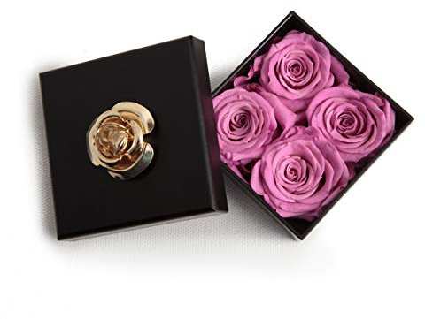 ROSEMARIE SCHULZ Heidelberg Kleine Infinity Rosen haltbar 3 Jahre in Box Rose konserviert (Pink, 4 Röschen)