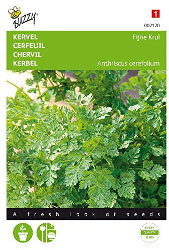 Buzzy Seeds 002170 Kerbel Krauser (Kerbelsamen)