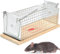 CLDFDC 1 Pièce piege a Rat Cage réutilisable, Sensibilité réglable, pièges Vivants pour Les Jardins intérieurs et extérieurs, Les Maisons et Les Cuisines