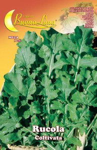 SEMI ORTO RUCOLA COLTIVATA