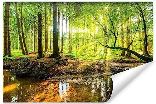 Muralo - 3D Tapete Wald bei Tagesanbruch Vliestapete - Fototapete 3d Effekt - Tapete für Wohnzimmer Schlafzimmer Wandtapete Wald Sonnenstrahlen - Br. 400cm x Hö. 280cm