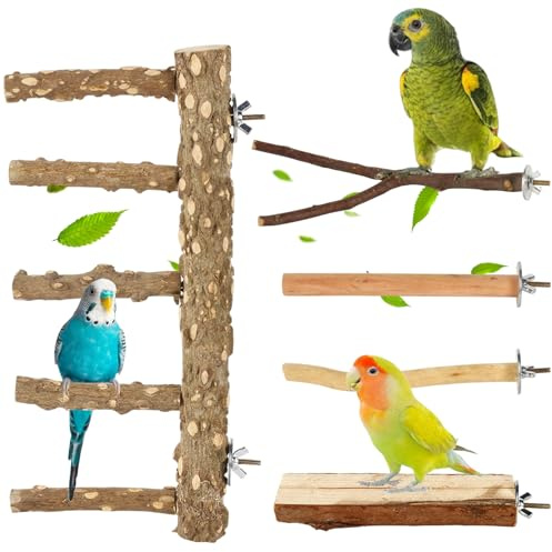 Eulihent 5 Pcs Bird Perches Parrot Stand Budgie Perches for Cage Natural Wood Platform Standing Branch Paw Grinding Fork Parakeet Climbing Standing Branches for Cockatiels Lovebirds