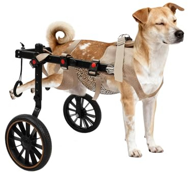 Imbracatura Di Sollevamento Cane Posteriore Aiuto Passeggiata Animali Disabili 65Kg, Carrello Riabilitazione Zampette Posteriori Alluminio, Regolabile 81-94Cm Sedie A Rotelle Per Cani Zampe Posteriori