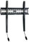 CENOKA Low Profile Fixed TV Wall Mount Bracket for most 32-75 inch TVs - 60kg Capacity, Max VESA 600x400mm – Includes Mounting Kit - Easy set-up and removal