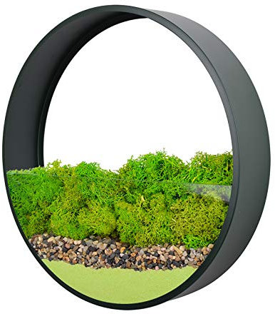Ecosides 12 / 30 cm rund metallglasväggvas, grön väggkruka hängande väggblomkruka för inomhusväxter, suckulenter, luftväxter, kaktor, konstgjorda växter och mer, trädgårdsälskare väggdekoration