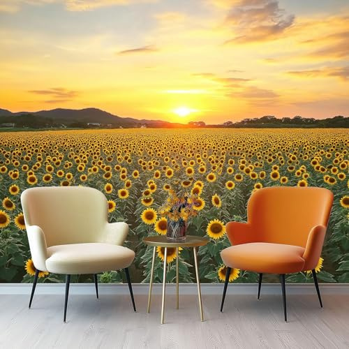 250 x 175 cm Art Carta da parati, Natura Campo Di Girasoli Carta da parati fotografica, Campo Di Fiori Gialli Poster murale per Camera Da Letto Soggiorno Bambini Camera, Personalizable