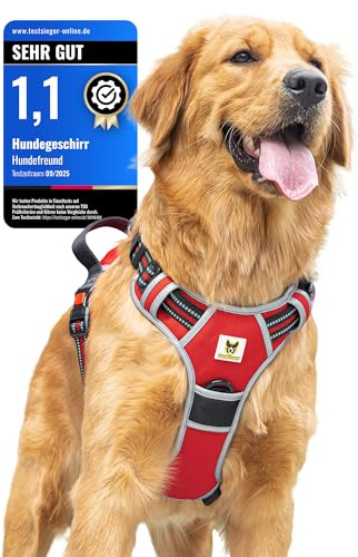 Hundefreund Pettorina per cani di piccola taglia – riflettente, imbottita e regolabile – Imbracatura anti-treno con manico e 3 chiusure di sicurezza – sicuro camminare e guidare auto – (XS, rosso)