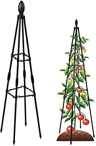 Pflanzenkletterregal, Obelisk-Spalier, Metall-Gartenspalier, Pflanzenstütze für Weinreben und Blumenständer, Pflanzenturm (80 cm)