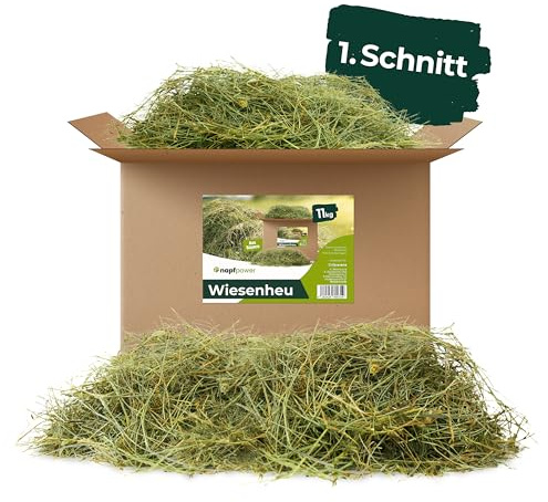 napfpower 5 kg Heu direkt vom Hof | 1. Schnitt Wiesenheu aus Bayern | hochwertiges & unbehandeltes Heu für Futter & Einstreu von Kaninchen, Hamster, Meerschweinchen & Hasen