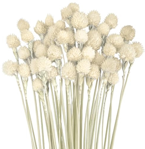 45 fiori secchi di fragola, decorazione fai da te con spighe di grano naturali, mazzo di erba secca, per composizioni floreali fai da te per la tua casa, camera da letto e soggiorno (bianco sporco)