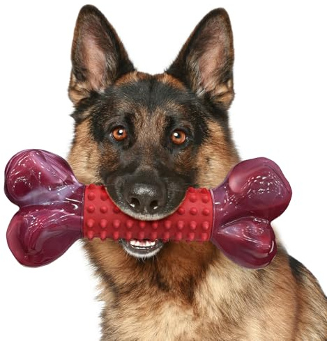 ChienBox Tough Dog Toys for Medium Large Dogs: Almost Indestructible Dog Toys for Aggressive Chewers, Dog Chew Toys for Teething, Strong Dog Toys for Boredom Hard Nylon & Natural Rubber, Beef Flavour