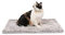 Mora Pets Selbstheizende Katzendecke Selbstwärmend Decke Katze Kissen Wärmedecke Katze Katzenkissen Flauschig und Weich Katzenbett Waschbar 70 x 46 cm