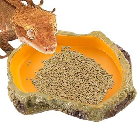 Qooplu Bol pour Reptiles, Bol d'eau pour Reptiles,Plat d’Eau de Serpent de réservoir de Reptile - Bols de Terrarium d'alimentation pour, Bol de Nourriture pour Animaux sûrs pour la décoration de la