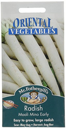 Mr. Fothergill's 20074 Vegetable Seeds, Radish (Mooli) Mino Early, White