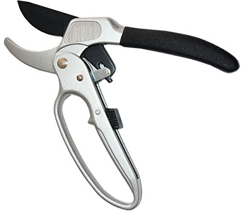 Euronovità EN-88034 Cesoia per Potatura a Cricchetto, Grigio