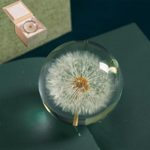 Dandelion Resin Paperweight, Crystal Ball Glass-Like Dandelion Head with Flat Base & Gift Box - Handmade Unique Desk Decor Present for Office and Home (7/8/9cm) (8cm)