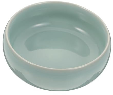 KONTONTY 1pc Keramik Tinte Untertasse Für Kalligraphie Pinsel Malerei Tinte Pinsel Lagerung Wasser Dish Washer