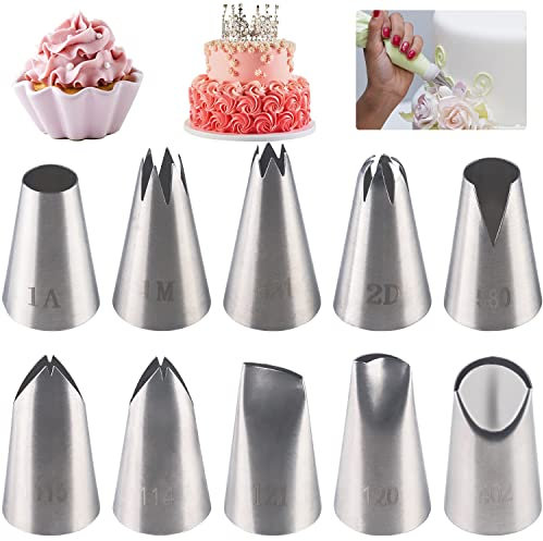 FYSL Ugelli per tubazioni, 10 beccucci per glassa, grandi bocchette in acciaio inox, punte per tubazioni per torte, set di ugelli per tubazioni fai da te per biscotti, creme, cupcake