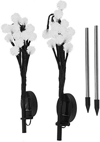 Kuuleyn 2 luci solari per decorazioni da giardino, 20 LED lucine ad energia solare lampada a dente di leone per esterni decorazione da giardino per prato per cortile aiuola aiuola (Luce colorata)