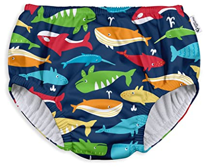 green sprouts baby boys Pull-up Reusable Absorbent Swimsuit and Toddler Swim Diaper, Navy Whale League, 24 Months US