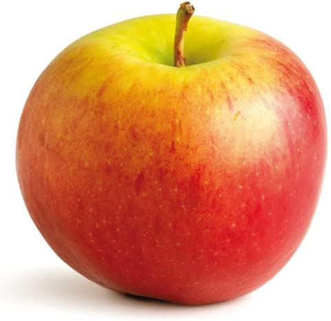 Apple Trees, 'Sunset', 1 x Tall Plant in a 10 Litre Pot, 1.4-1.6 Metre Height, Apples, Garden Ready and Ready to Plant, Premium Quality Fruit Trees